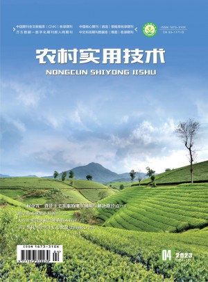 农村实用技术杂志 