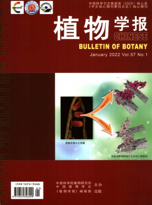 植物学报杂志 