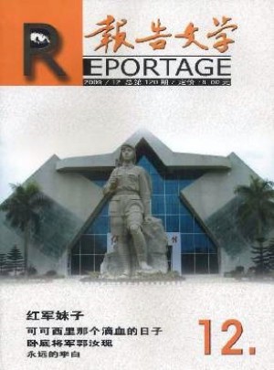报告文学杂志 
