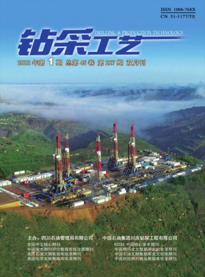 钻采工艺杂志 
