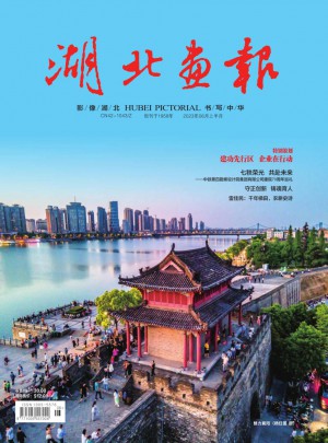 湖北画报杂志 
