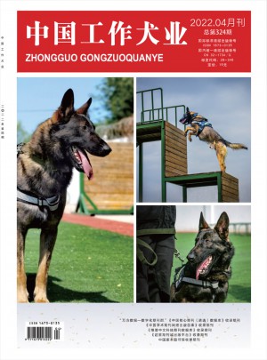 中国工作犬业杂志 