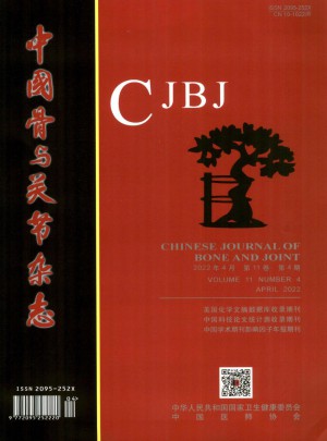 中国骨与关节杂志 