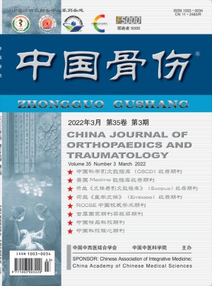 中国骨伤杂志 