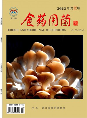 食药用菌杂志 