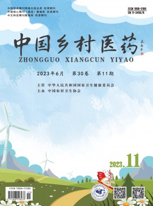 中国乡村医药杂志 