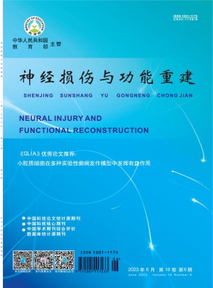 神经损伤与功能重建杂志 