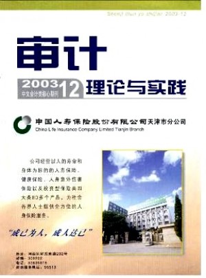 审计理论与实践杂志 