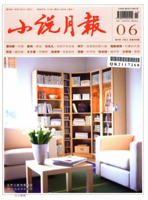 小说月报杂志 
