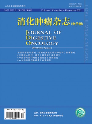 消化肿瘤杂志 