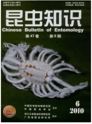 昆虫知识杂志