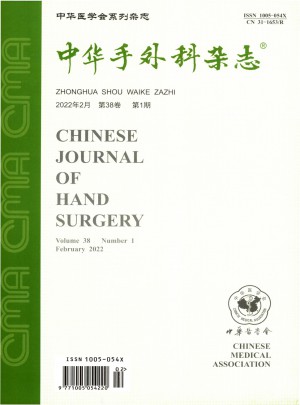 手外科杂志 