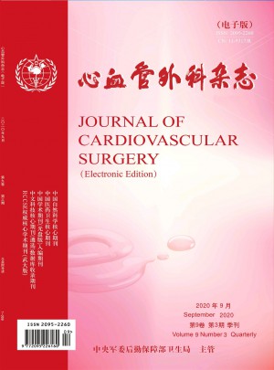 心血管外科杂志 
