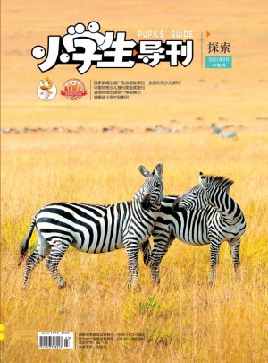 小学生导刊·中年级杂志 