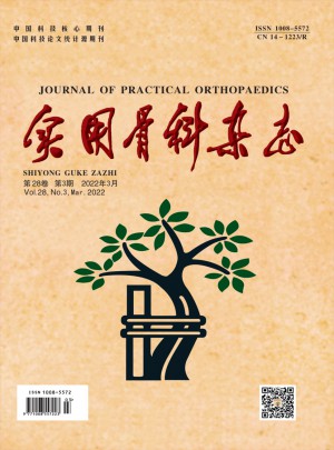 实用骨科杂志 