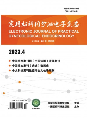 实用妇科内分泌杂志 